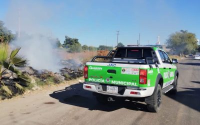 Aplica 5 multas Ecología en Guasave, por tirar basura, quemas y tala de árboles