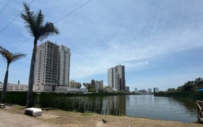 Para evitar desechos de escombro, revisan zona de la Laguna del Camarón