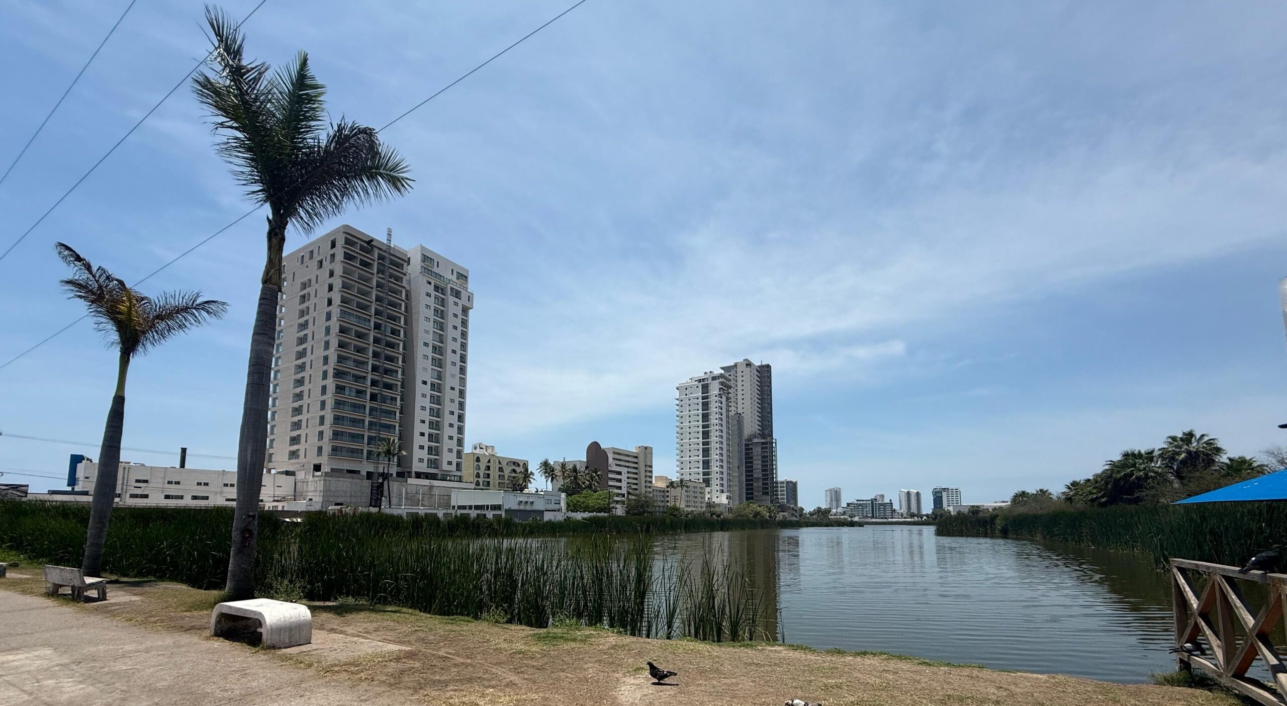 Para evitar desechos de escombro, revisan zona de la Laguna del Camarón