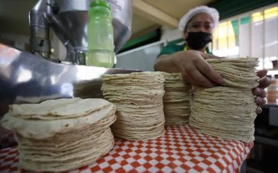Baja en ventas de tortillas preocupa al sector en Sinaloa: Rafael Uriarte Quiroz