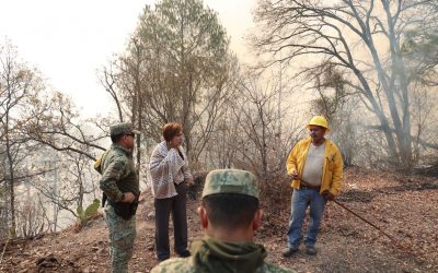 El General Porfirio Fuentes junto a sus equipos acude personalmente a reforzar las brigadas contra el incendio forestal en El Palmito: SEBIDES.