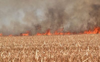 Podrían en Ahome aplicar medida de Bomberos de Guamúchil de no acudir a apagar incendios por quema de soca