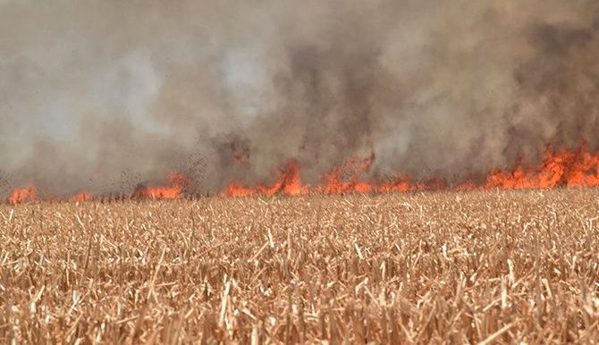 Podrían en Ahome aplicar medida de Bomberos de Guamúchil de no acudir a apagar incendios por quema de soca