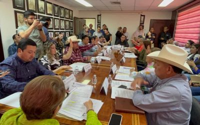 Piden regidores avances en caso Immujeres; Síndico responde que se debe respetar la ley.