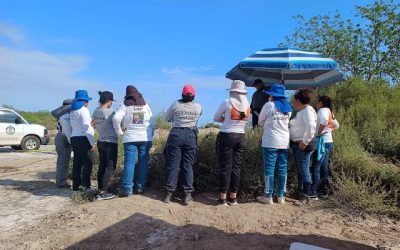 Continúa búsqueda de más cuerpos en fosa de Tacuchamona: Sabuesos Guerreras